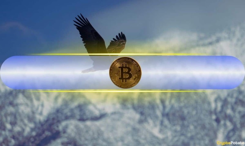  Более 90% держателей BTC получают прибыль, поскольку цена биткойнов превышает 65 тысяч долларов 