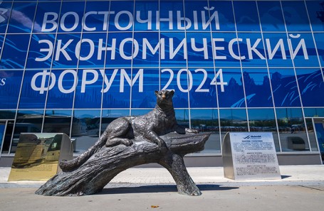 &laquo;Дальний Восток &mdash; 2030&raquo;: как участники ВЭФ смотрят на несколько лет вперед