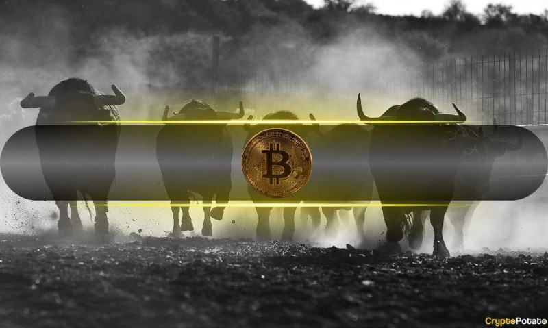  Эти факторы позволяют предположить, что бычий рост Биткойна (BTC) только начинается: CQ 