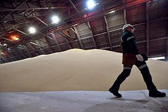 Власти увеличили квоту на вывоз удобрений из России