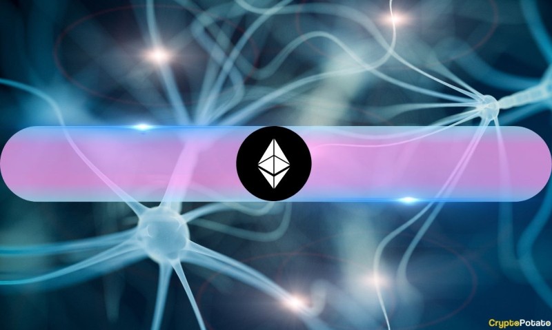  Вот сколько криптовалюты хранит Ethereum Foundation 