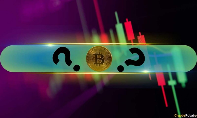  Цена на эти альткойны выросла двузначным числом, поскольку BTC был остановлен до достижения отметки в 100 тысяч долларов (наблюдение за выходными) 
