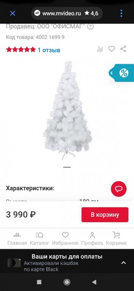 В России разработали мобильный &laquo;навигатор по жизни&raquo;. Почему он пригодится каждому?