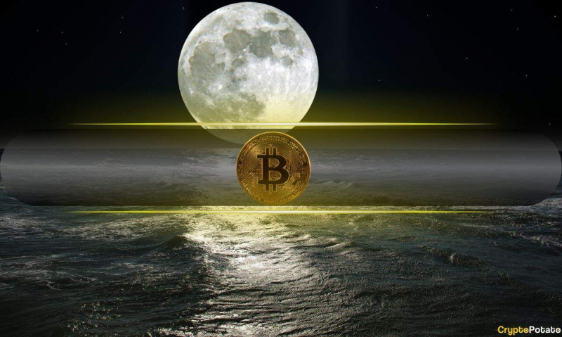  3 ключевые факторы, которые могут увеличить BTC до 249 тыс. Долл. США в 2025 году: Cryptoquant 