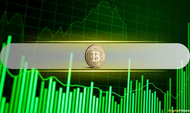  Биткойнская прибыль замедляется, так как долгосрочные держатели стабильны в августе 