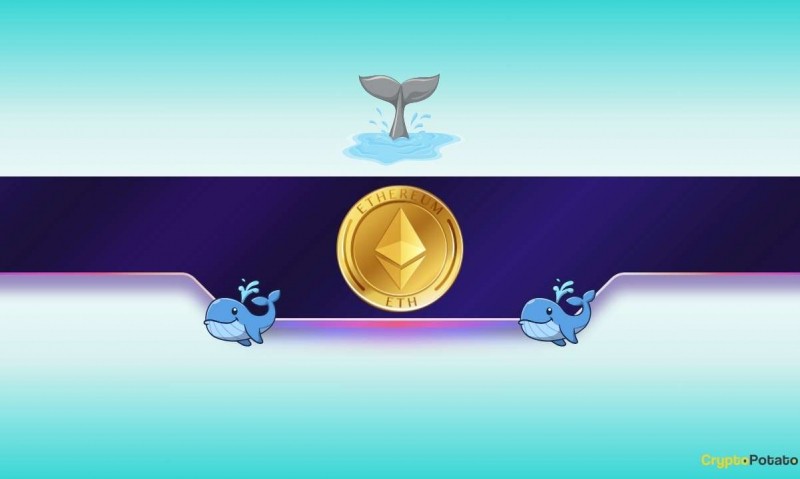  Чем занимаются крупные инвесторы Ethereum (ETH)? 