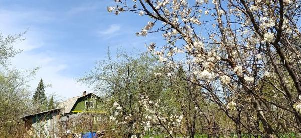 Весенний набор аллергика: где в России лечиться дешевле в 2026 году?