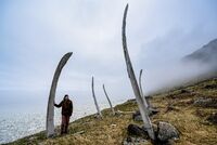 Россиянам рассказали о погоде в июле