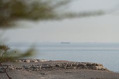Один из крупнейших экспортеров нефти захотел снизить зависимость от Ормуза