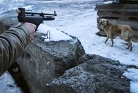 Россиянам дали советы на случай встречи с летучей мышью